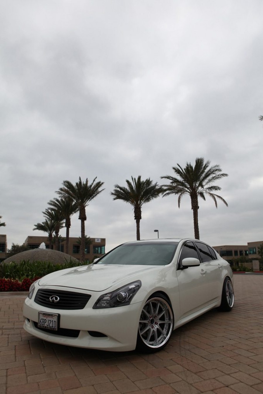 Infiniti G35 Sedan V36 wheels Rays Volk Racing GT-F 19″ 9.5J ET17 225/40 10.5J ET24 245/40