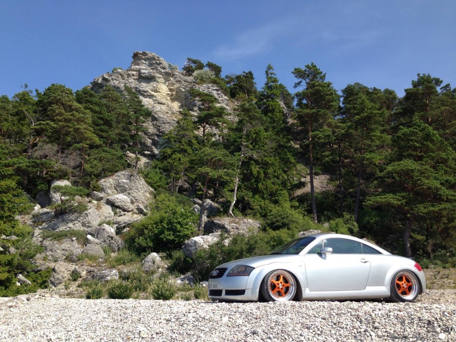 Audi TT Mk1 Räder OZ Racing Mito R17 8.5J ET10 195/40 10J ET25 225/45