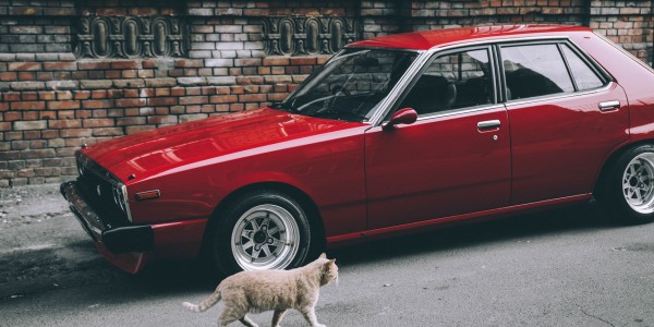 Nissan Skyline