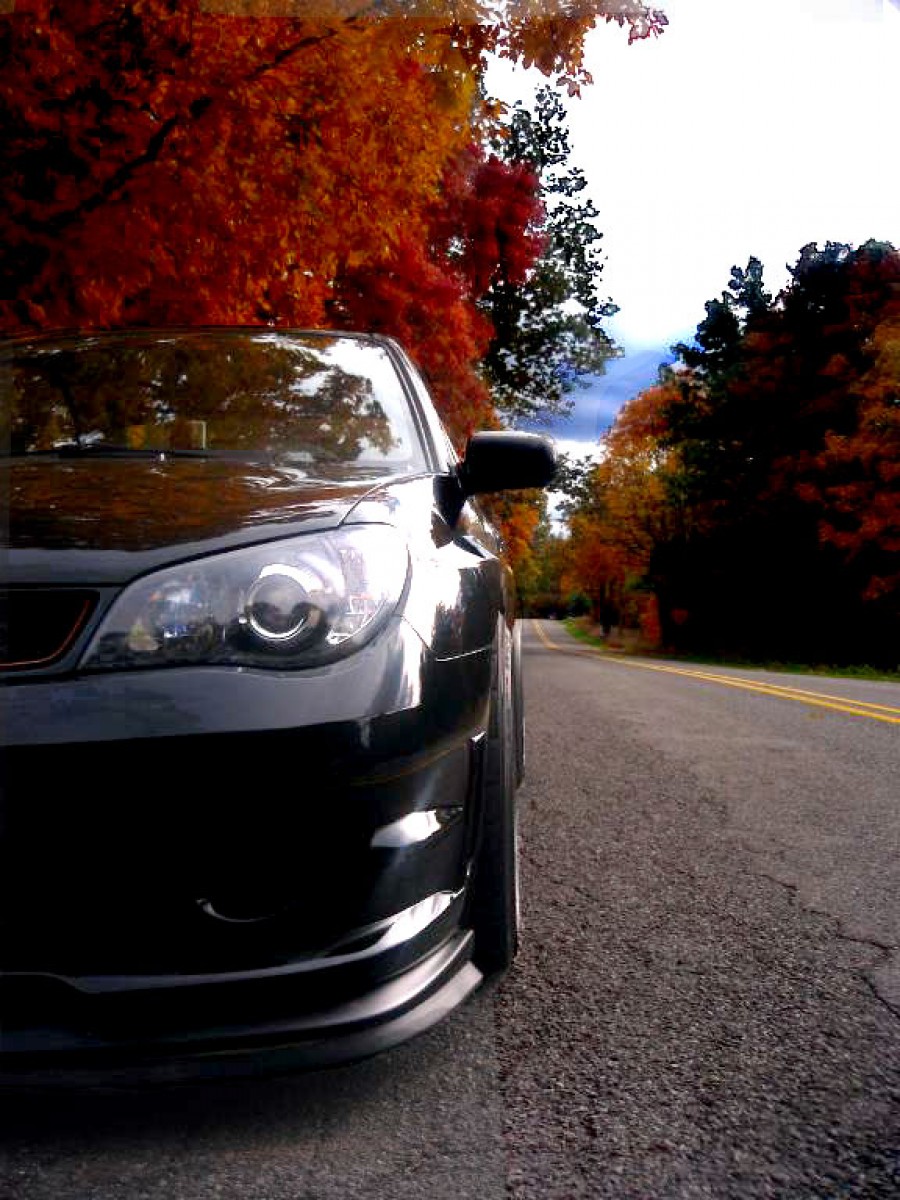 Subaru Impreza GD, GG диски Rota Torque R R18 9.5J ET35 245/40 Dewback9 